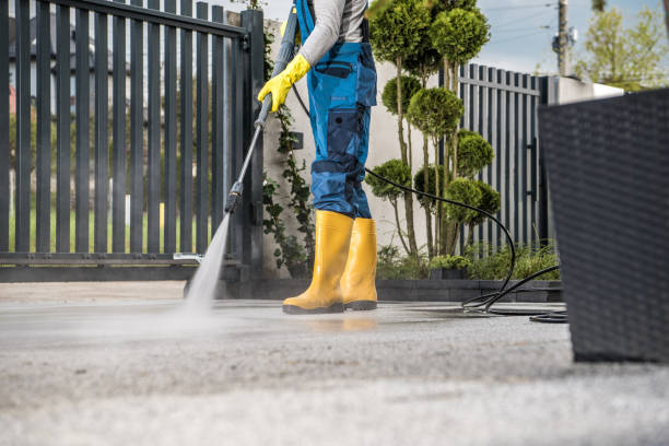 Best Gutter Cleaning  in Worthington, MN
